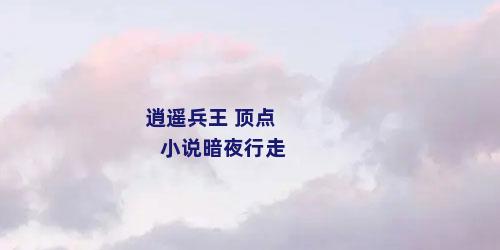 逍遥兵王 顶点小说暗夜行走